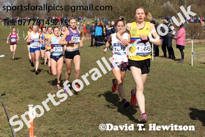 Senior womens 2019 British Athletics Inter Counties Cross Country, Prestwood Hall, Loughborough. Photo:  David T. Hewitson/Sports for All Pics